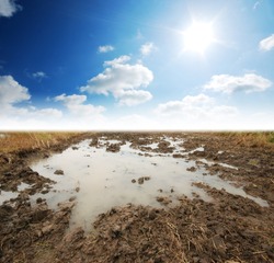 Soil Background mud puddle marsh well blue sky rice