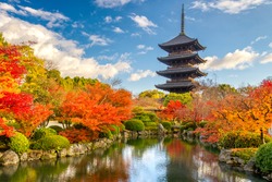 Kyoto, Japan at Toji Pagoda in Autumn.