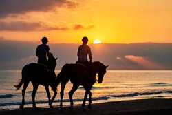 Silhouette of riders exercising horses on the beach at sunrise