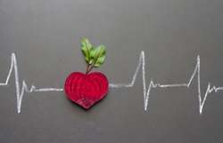 Healthy beetroot with heart shape and electrocardiogram on blackboard