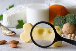 Bone shaped cheese, magnifier and bone strengthening foods products, concept osteoporosis and prevention