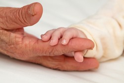 Tiny baby hand holding aged hand of Great Grandma