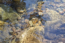 rocks under water