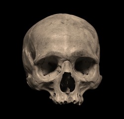 Skull of the human isolated on a black background. Sepia color photo