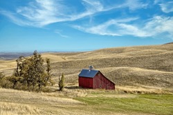 An old red barn stands in a field near Moscow, Idaho in the palouse region.