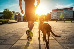 Silhouettes of runner and dog on city street under sunrise sky in morning time. Outdoor walking. Athletic young man with his dog are running in town.