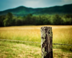 Fence post at Cades Cove Great Smoky Mountains National Park 