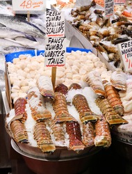 Assorted seafood for sale in a public market.