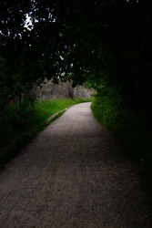 A walking path leading into light in a dark forest.