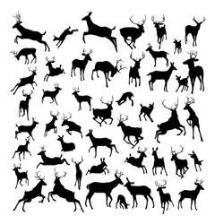 High quality deer silhouettes. Fawn, doe, bucks and stags in various poses. 