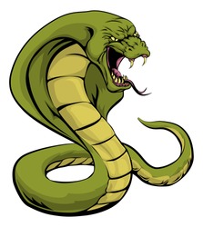 An illustration of a cobra snake sports mascot about to strike