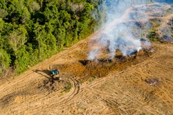 Aerial drone view of tropical rainforest deforestation to clear land for plantations