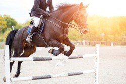 Show jumping close up image. Male horse rider jumping over hurdle on competition