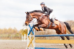 Young horseback sportsgirl jumping over obstacles on show jumping competition