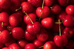 Raw Red Organic Cherries Ready to Eat