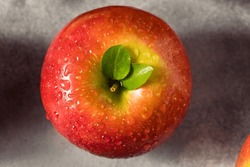 Raw Red Organic Cosmic Crisp Apples in a Bunch