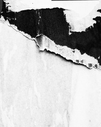 Black white old grunge ripped torn vintage collage posters creased crumpled paper surface texture background placard / Empty space for text