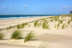 In France, in Aquitaine, the Atlantic coast is formed by an immense sandy beach lined with dunes and waves allowing surfing.