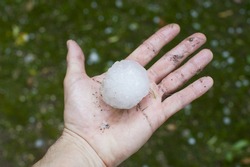 Giant hailstone measuring 5.5cm across. These fell in Verona, Italy, in May 2013.