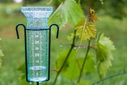 Meteorology with rain gauge in garden after the rain against the background of the vineyard