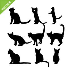 Cat silhouettes vector