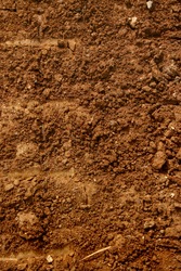 soil texture