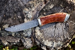 Hunting knife damascus steel on a forest background close-up