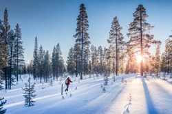 Panoramic view of man cross-country skiing on a track in beautiful nordic winter wonderland scenery in Scandinavia with scenic evening light at sunset in winter, Northern Europe