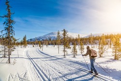 Panoramic view of male person cross-country skiing in beautiful nordic winter landscape in Scandinavia with blue sky and golden evening light at sunset, Europe