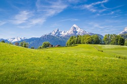 Beautiful view of idyllic landscape in the Alps with fresh green meadows full of blooming flowers and snow-capped mountain tops in the background on a sunny day with blue sky and clouds in springtime