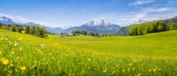 Panoramic view of idyllic mountain scenery in the Alps with fresh green meadows in bloom on a beautiful sunny day in springtime, National Park Berchtesgadener Land, Bavaria, Germany