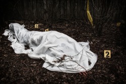 Victim of a violent crime under a sheet in a rural yard. With evidence markers.