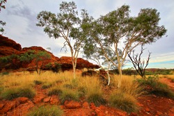 Red iron rocks of Australian outback