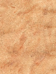Brown watercolor background
