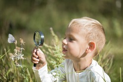 Young researcher explores nature with a magnifying glass on a summer sunny day