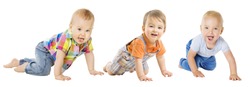 Baby Boys Group, Crawling Infant Kid, Toddler Child Crawl over White background