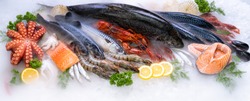 Panoramic web banner crop Top view of variety of fresh luxury seafood, Lobster salmon mackerel crayfish prawn octopus mussel and scallop, on ice background with icy smoke in seafood market. 
