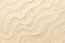 Sand texture. Sandy beach for background. Top view