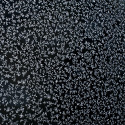 Snow flakes on window with black background