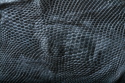 wild snake skin pattern in many style.