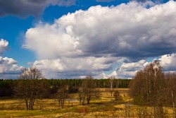 Spring trees in the field. It is photographed in Russia. 60 kilometers from Moscow