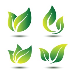 Green leaf eco symbol set ,vector illustration