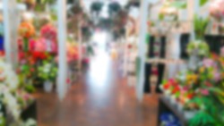 Abstract blur  flower shop