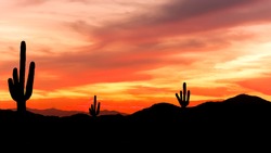 Southwest Desert - Colorful Sunset in Wild West Desert of Arizona with Cactus