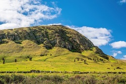 Moai set in the hillside at Rano Raraku  in Easter Island, Chile