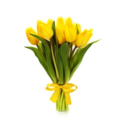 Beautiful yellow tulips over white