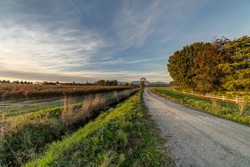countryside landscape (countryroad, ditch, farmfield)