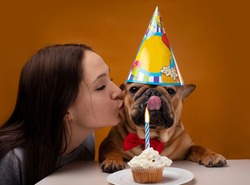 girl kisses a dog, girl with her french bulldog on a yellow isolated background celebrate birthday