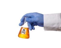 Doctor hand holds retort with toxic orange liquid - isolated photo on a white background. Death symbol on a glass container. Chemical flask with yellow poison in a scientist hand. Blue nitrile glove
