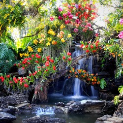 Waterfall in garden